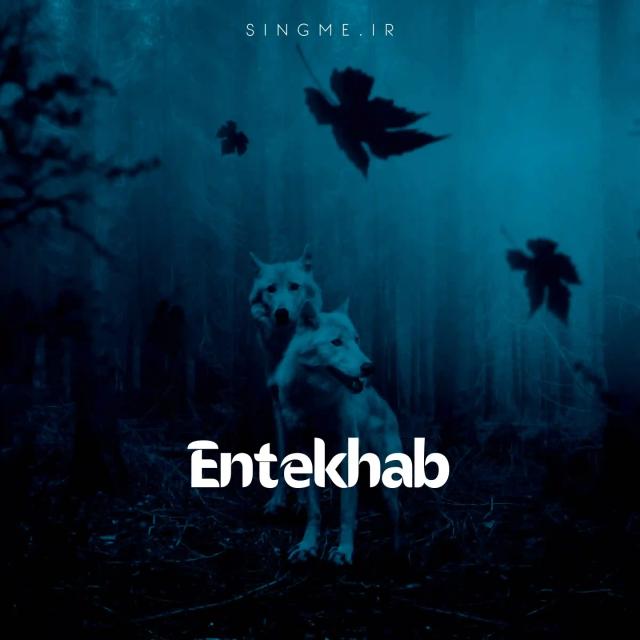 انتخاب