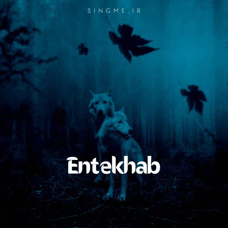 انتخاب