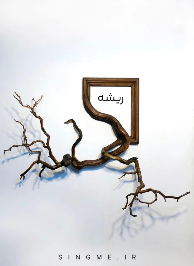 ریشه